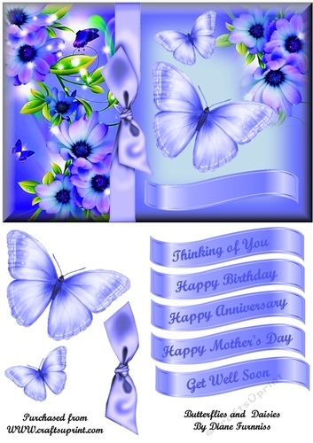 Butterflies and Daisies