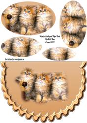 Kitty's Scalloped Edge Card