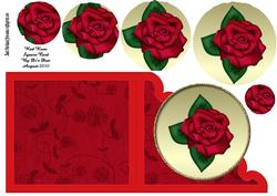 Red Rose Square Card