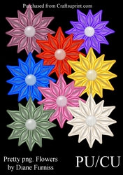 Pretty Flowers