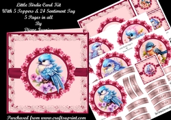 Little Birdie Card Kit