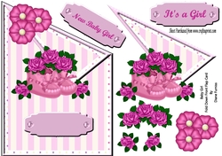 Baby Girl Fold Down Front Flap Card
