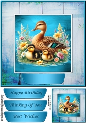 Ducks on the Water (2)