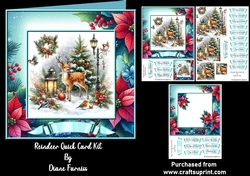 Reindeer Quick Card Kit
