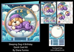 Sleeping Dog 4 Birthday Quick Card Kit