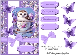 Owl in a Teacup Card Front