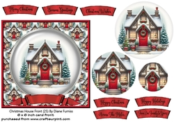 Christmas House Front (25)