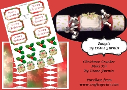Christmas Cracker (1)