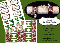 Christmas Cracker (3)