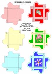 Scallop Boxes