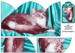 Pets 2 Gate Fold