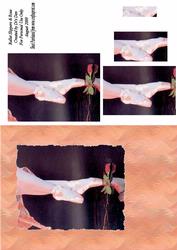 Ballet Slippers & Rose