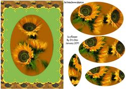 Sunflower