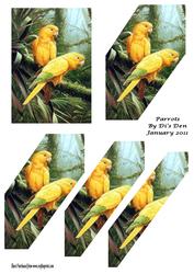 Parrots