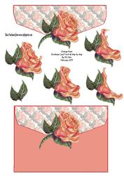 Orange Rose