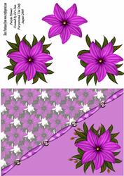 Purple Flower