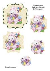 Mister Bunny