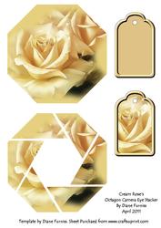 Cream Rose's Octagon Camera Eye Stacker
