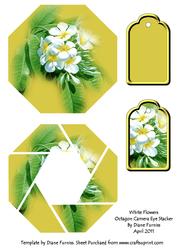 White Flowers Octogon Camera Eye Stacker