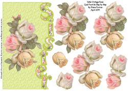 Sister Vintage Rose
