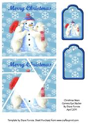 Christmas Bears Camera Eye Stacker