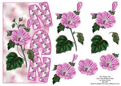 Pink Flower Nan