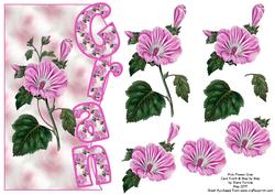Pink Flower Gran