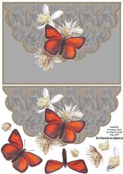 Butterfly Envelope Card