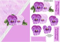 Purple Pansies
