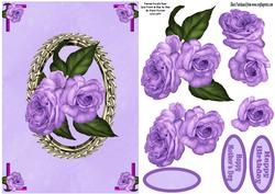 Framed Purple Rose
