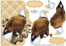 Eagle Card Front & Step by Step