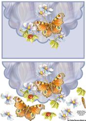 Butterfly & Flowers Envelope Card