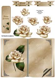 Cream Antique Rose Open Book
