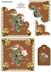 Birds Shell Corner Stacker