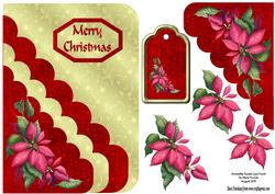 Poinsettia Pocket Card Front