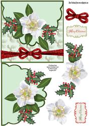 Christmas Rose Square Envelope Card
