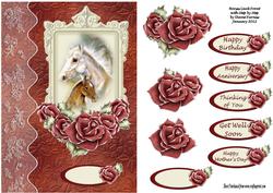 Horses Card Front