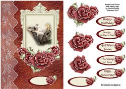 Koala Card Front