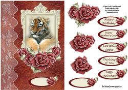 Tiger Cub Card Front