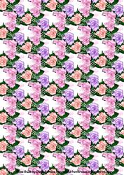 Rose Buds