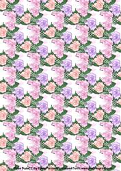 Rose Buds (2)