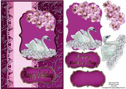 Swans Card Front