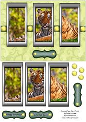 Framed Tiger Card Front