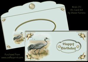 Birds (1) Dl Card Kit