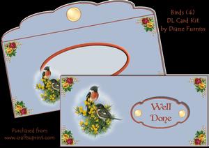 Birds (4) Dl Card Kit