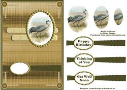 Bird Card Front (1)