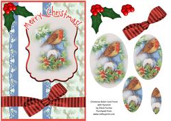 Christmas Robin Card Front