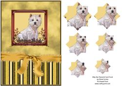 Silky Star Pyramid Card Front