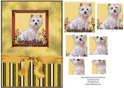 Silky Twisted Pyramid Card Front