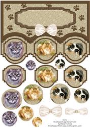 Cats Scalloped Edge Card Front